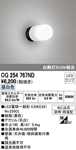 LEDブラケットライト 防雨型 アウトドア ランプ別梱 OG254767ND