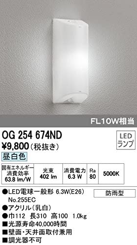 LEDポーチライト 防雨型 壁面・天井面取付兼用 FL10W相当 昼白色 OG254674ND