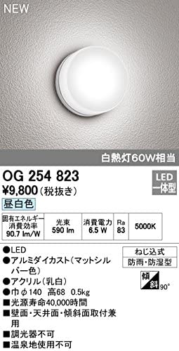 LED一体型ポーチライト 防雨・防湿型 壁面・天井面・傾斜面取付兼用 白熱灯60W相当 昼白色 マットシルバー OG254823