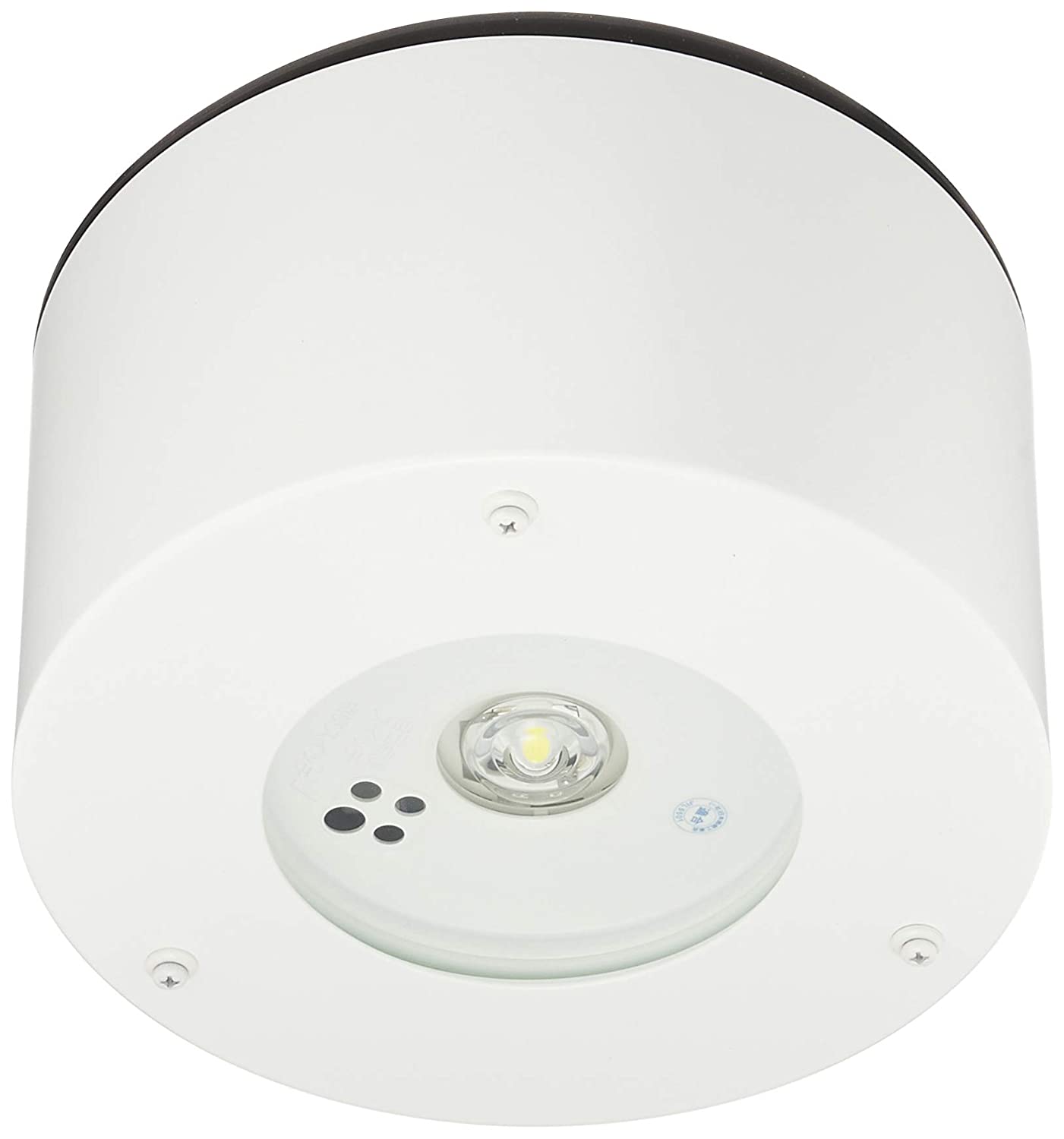 LED非常用照明器具 直付 低天井用~3m 防湿型・防雨型 昼白色 NNFB91105J